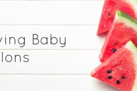 Learn how to give baby melon like watermelon and cantaloupe!