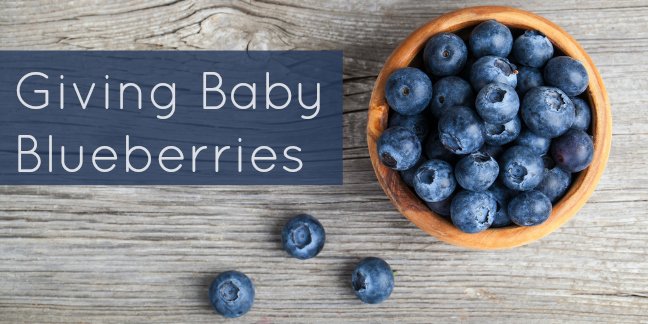 Blueberry best sale baby food