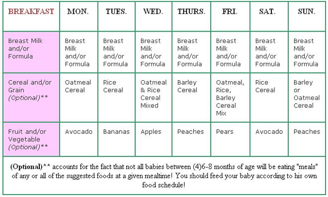 Baby Meal Plan: 12 Month Old