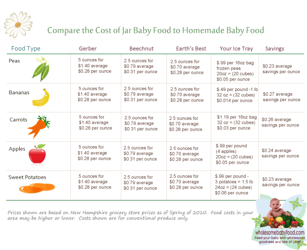 A chart showing cost of premade baby food vs. making your own