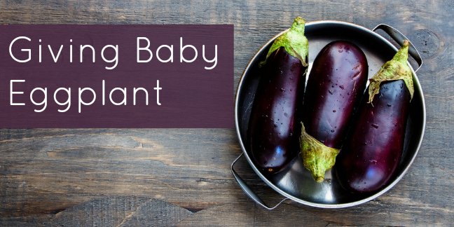 Eggplant baby hot sale led weaning