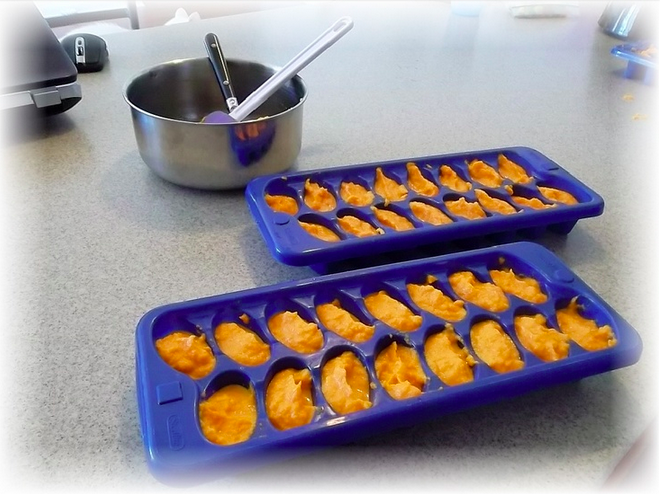 frozen homemade sweet potato baby food