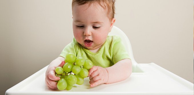 Grapes for Baby Food Recipes and Feeding Your Baby