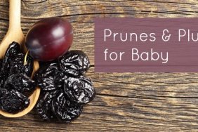 Yes babies can have both prunes and fresh plums! Find out how to prepare these yummy fruits for baby.