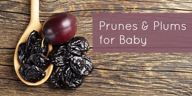 Yes babies can have both prunes and fresh plums! Find out how to prepare these yummy fruits for baby.