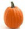 pumpkin25x25