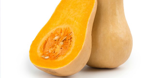 butternut squash that could be used for baby food