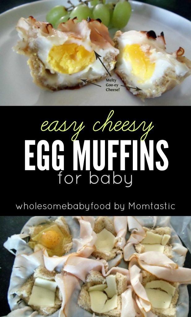 Here's a super yummy, and super easy muffin tin recipe for baby! Parents will love it too!