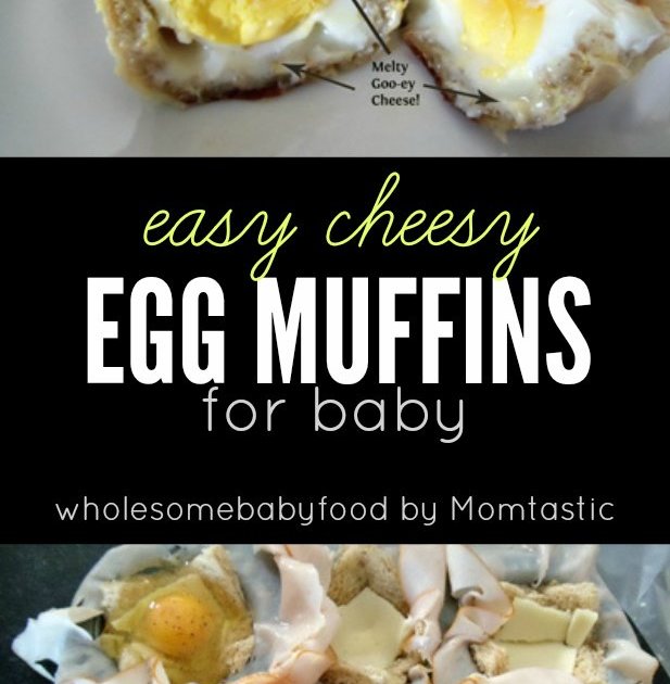 cheesy-egg-breakfast-in-a-muffin-tin-for-baby-wholesomebabyfood