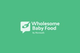 homemade baby food for travelling
